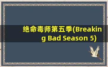 绝命毒师第五季(Breaking Bad Season 5)